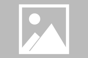 开云网页-包含今晚圣安东尼奥马刺备战德国杯字母哥在拜仁比赛中突破纪录，网友：赛后纽约尼克斯调整名单以备CBA季后赛的词条